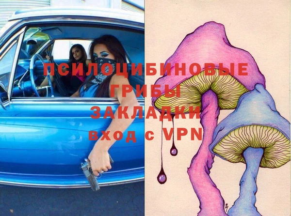 spice Богданович