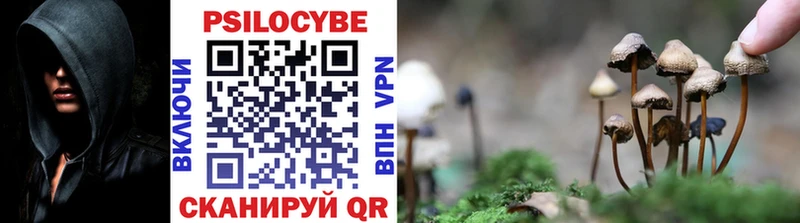 Галлюциногенные грибы мухоморы  где продают наркотики  Медынь 